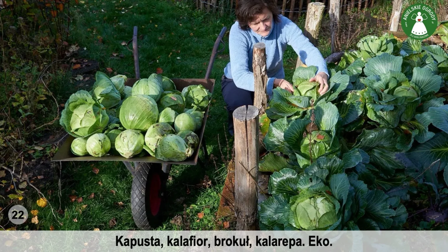 anielskie_ogrody_ogrod_ekologiczny_22