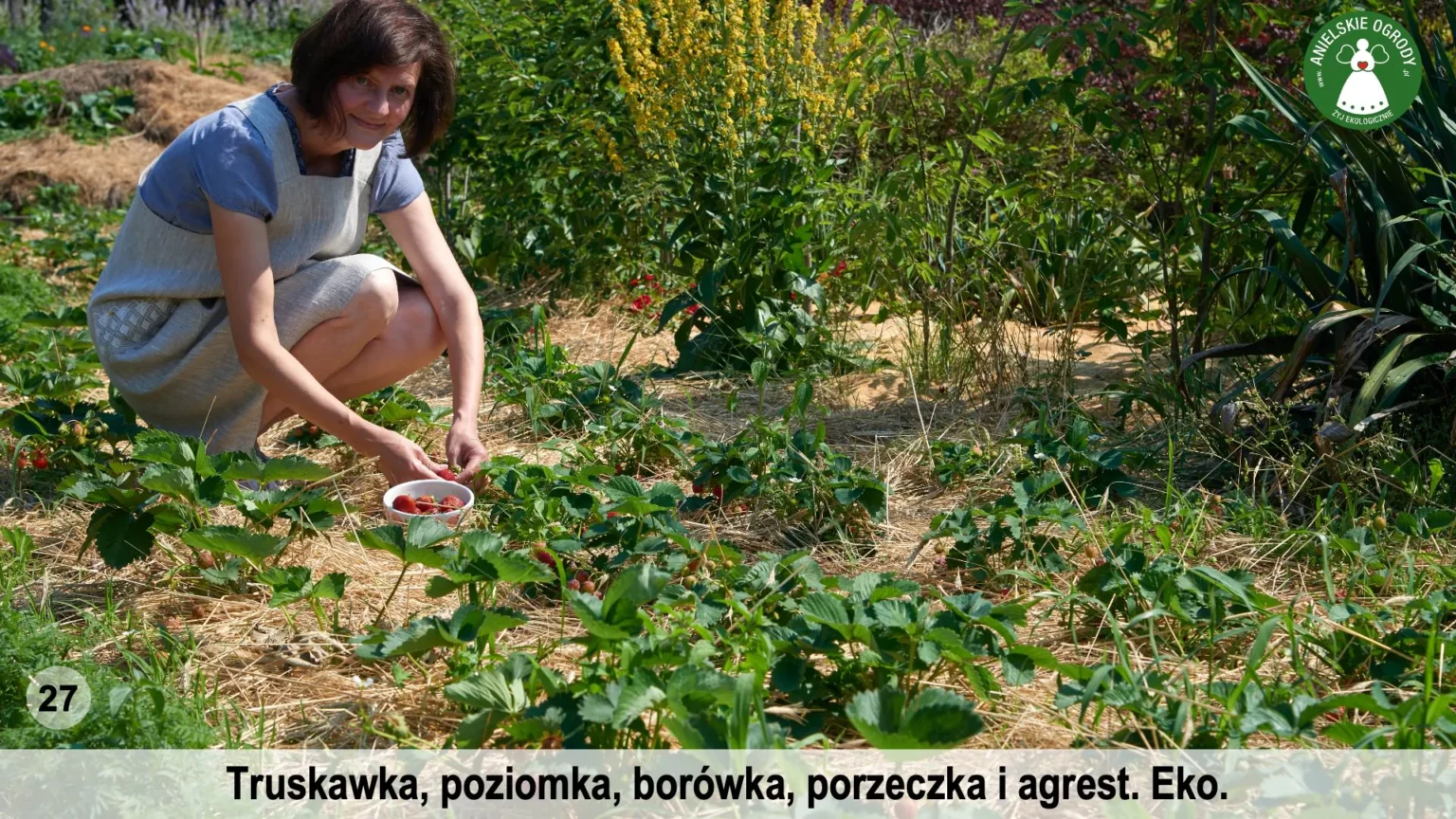 anielskie_ogrody_ogrod_ekologiczny_27