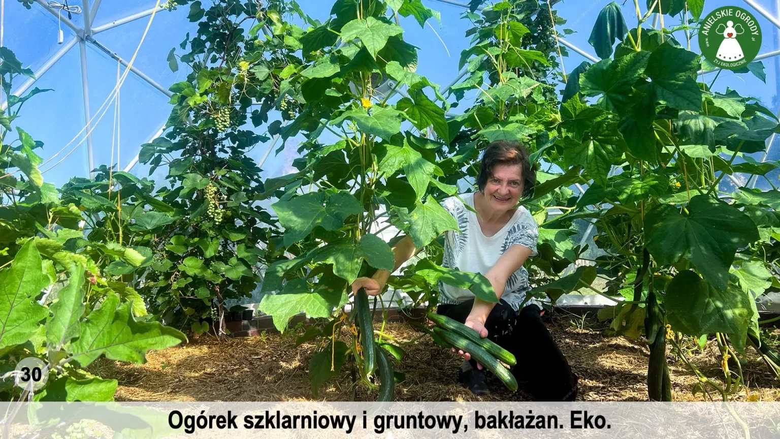 anielskie_ogrody_ogrod_ekologiczny_30