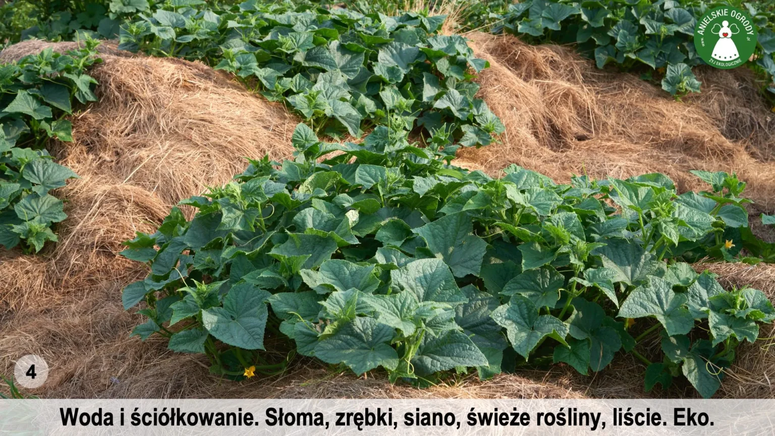 anielskie_ogrody_ogrod_ekologiczny_4