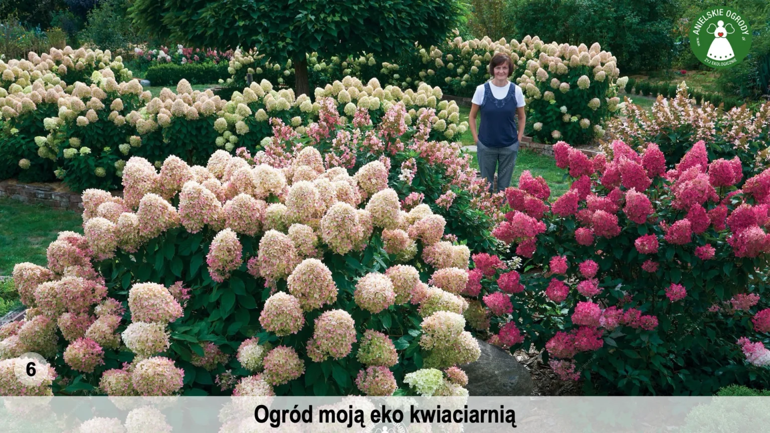 anielskie_ogrody_ogrod_ekologiczny_6