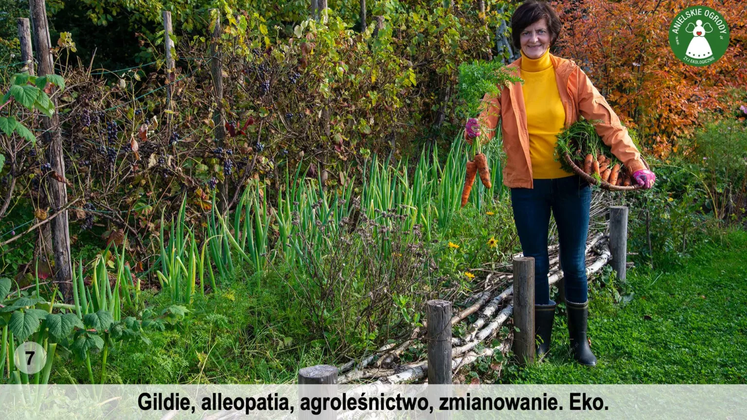 anielskie_ogrody_ogrod_ekologiczny_7