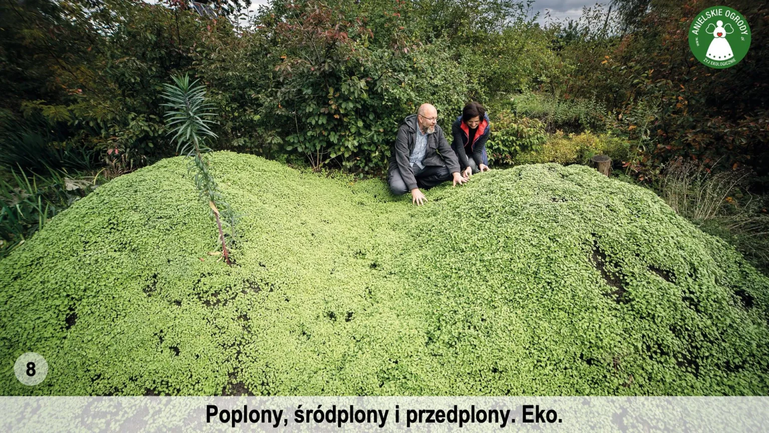 anielskie_ogrody_ogrod_ekologiczny_8